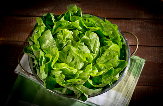 Salade verte - Déclinaisons de vinaigrettes : Découvrez nos recettes